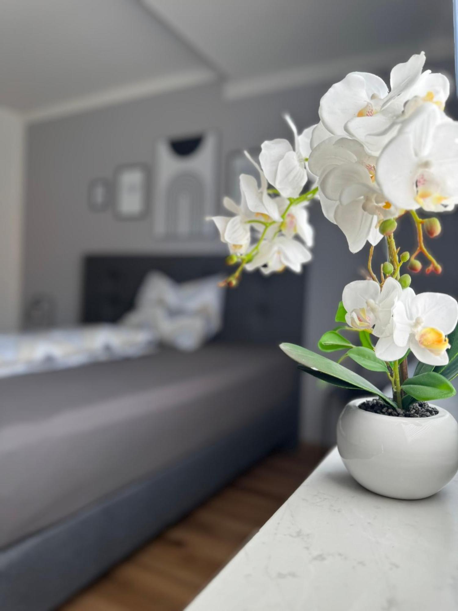 Liederbach  Ferienhaus Hunsrueckliebe מראה חיצוני תמונה